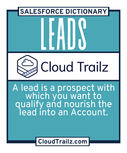 Salesforce Lead record showing contact and company information in CRM