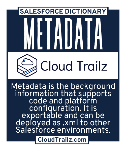 Salesforce Metadata interface displaying object definitions and field configurations