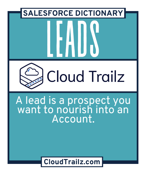 Salesforce Lead record showing contact and company information in CRM